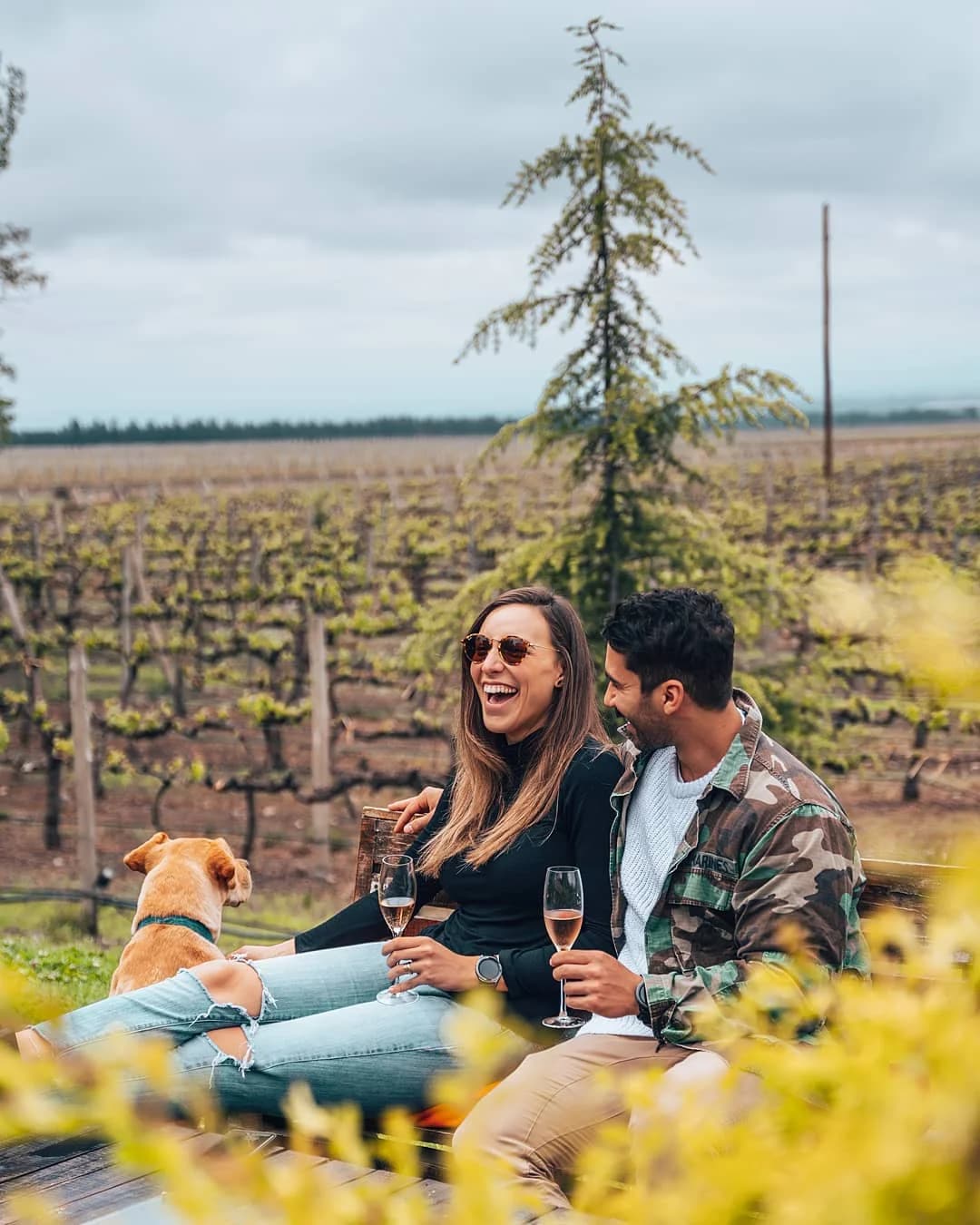 Vale dos vinhos em Mendoza